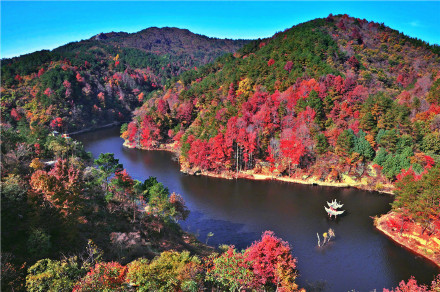 秋日红叶季开启!2024全国赏红叶地图出炉 秋日红叶季开启!2024全国赏红叶地图出炉