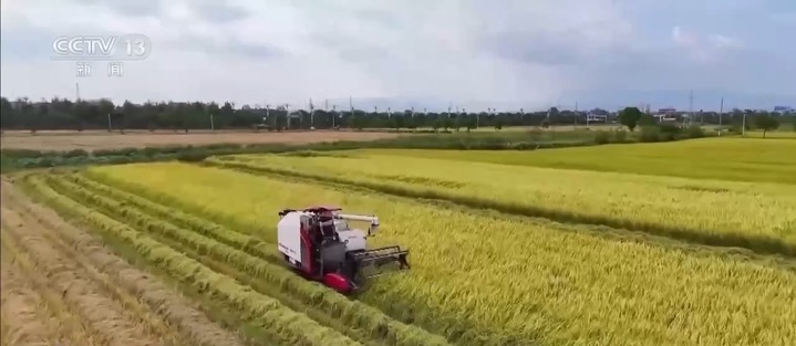 大国粮仓晒出亮眼“成绩单” 背后努力你都知道吗