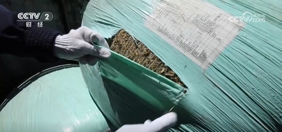 外贸进出口质升量稳 “你来我往”折射活力 西藏高水平对外开放加速 外贸进出口质升量稳 “你来我往”折射活力 西藏高水平对外开放加速