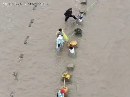 上海海蜇泛滥？有人特地赶海去捞，结果遇涨潮被困……