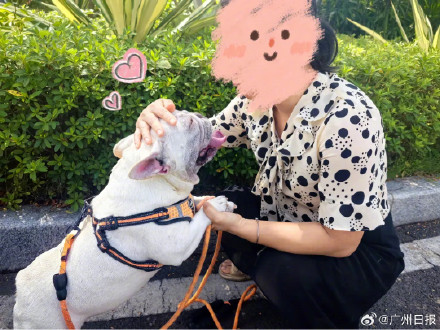 女子捡小狗一年后养出感情不愿归还，法院调解促两位“主人”言和