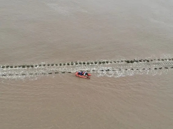 上海海蜇泛滥？有人特地赶海去捞，结果遇涨潮被困……