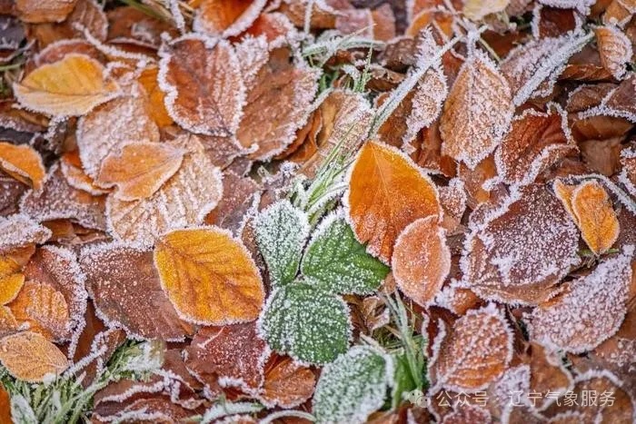 强冷空气来袭,辽宁将进入冬季 强冷空气来袭,辽宁将进入冬季