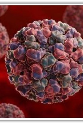 48名幼儿集体感染!当心,又到高发季 48名幼儿集体感染!当心,又到高发季