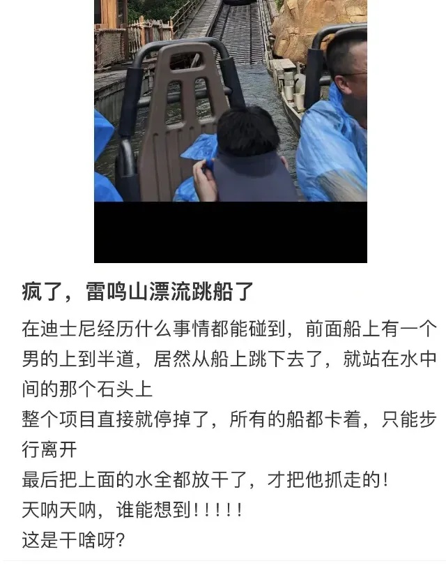 上海迪士尼一项目有人“跳船后登山”?官方回应 上海迪士尼一项目有人“跳船后登山”?官方回应