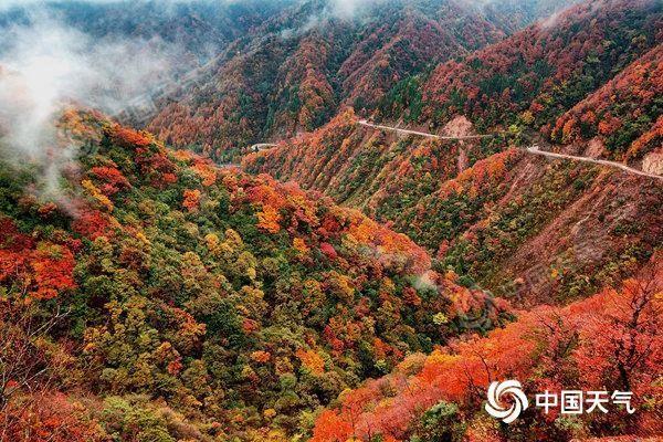 秋日限定！全国赏红叶地图出炉 盘点十大推荐地独家“红妆”