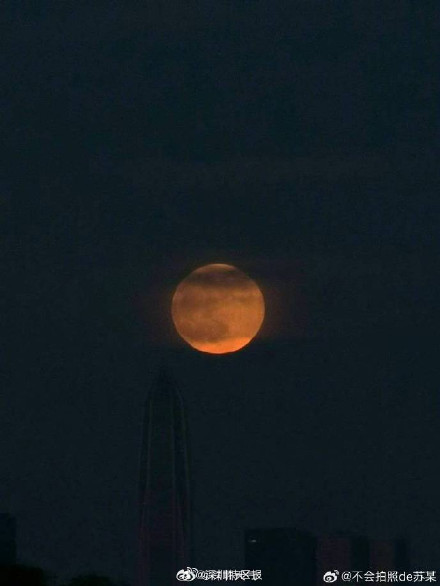 抬头看！你拍到超级月亮了吗？