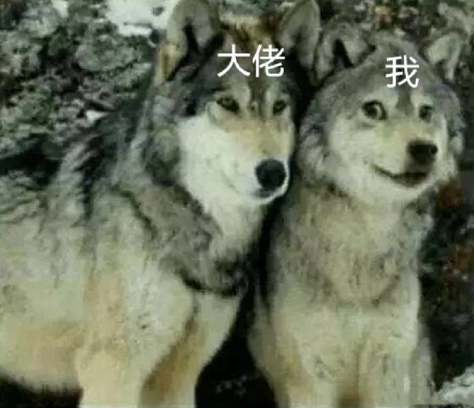 狼犬是狼还是狗?它是最狼的狗,还是最狗的狼... 狼犬是狼还是狗?它是最狼的狗,还是最狗的狼...