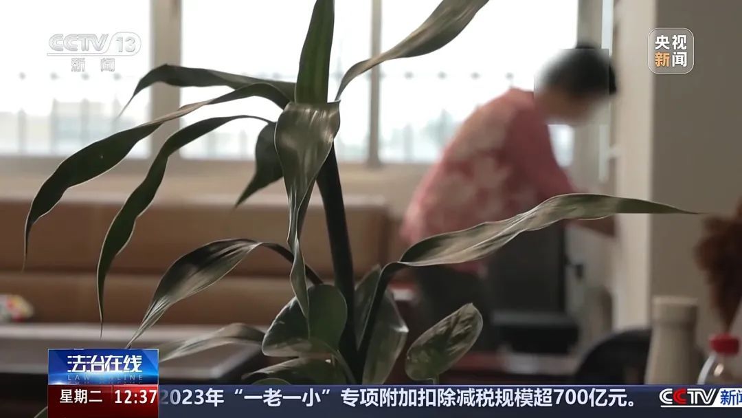 孙辈惹事要赔款？警惕这种骗局！