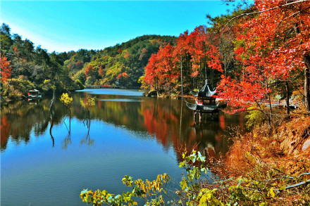 秋日红叶季开启!2024全国赏红叶地图出炉 秋日红叶季开启!2024全国赏红叶地图出炉