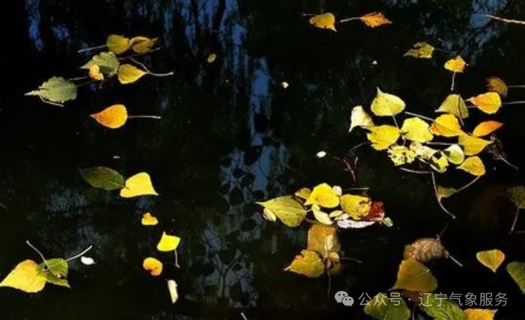 强冷空气来袭,辽宁将进入冬季 强冷空气来袭,辽宁将进入冬季