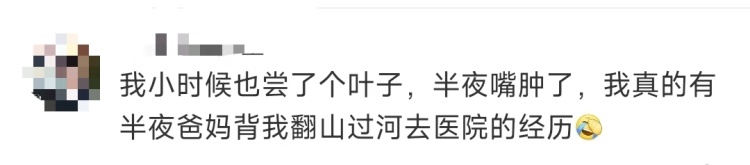 别摘别吃!这种高仿“芋头”全身有毒 很常见 别摘别吃!这种高仿“芋头”全身有毒 很常见