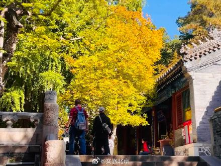 北京已进入赏秋最佳时节 北京已进入赏秋最佳时节