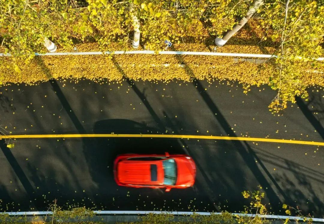 美翻!黄亦玫驰骋的京郊公路又迎“高光”时刻—— 美翻!黄亦玫驰骋的京郊公路又迎“高光”时刻——