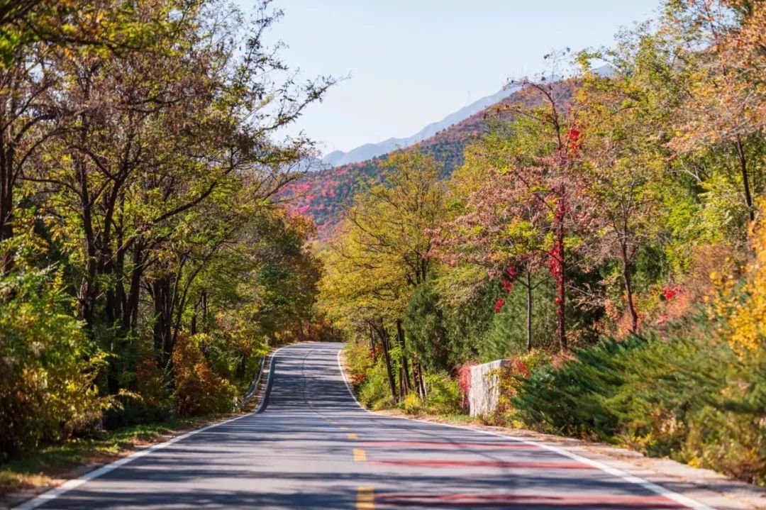 美翻!黄亦玫驰骋的京郊公路又迎“高光”时刻—— 美翻!黄亦玫驰骋的京郊公路又迎“高光”时刻——