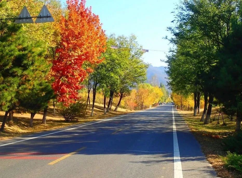 美翻!黄亦玫驰骋的京郊公路又迎“高光”时刻—— 美翻!黄亦玫驰骋的京郊公路又迎“高光”时刻——