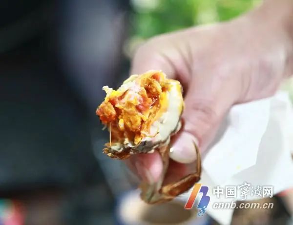 大闸蟹价格大跳水！宁波人爱的这口美味正大量上市