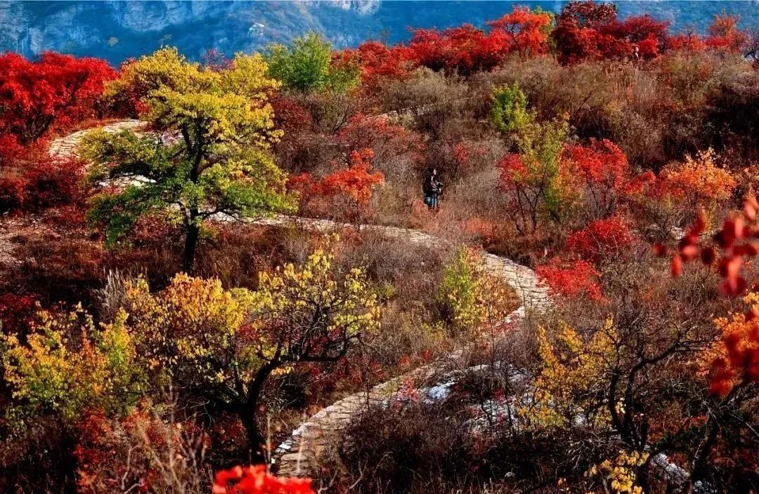 美翻!黄亦玫驰骋的京郊公路又迎“高光”时刻—— 美翻!黄亦玫驰骋的京郊公路又迎“高光”时刻——