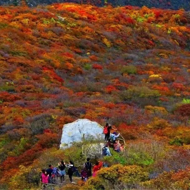 美翻!黄亦玫驰骋的京郊公路又迎“高光”时刻—— 美翻!黄亦玫驰骋的京郊公路又迎“高光”时刻——