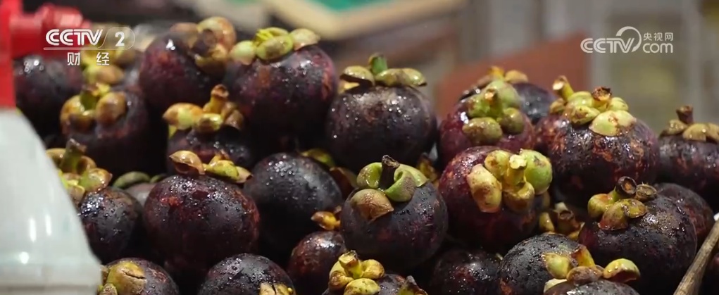 时令水果上市、海鲜种类丰富 居民“菜篮子”“果盘子”物丰价稳供应足