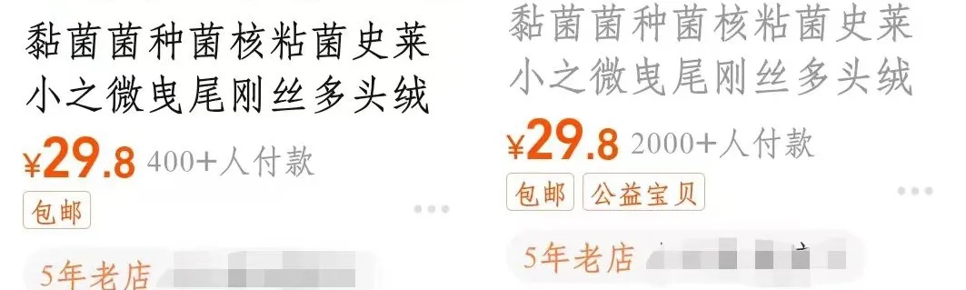 “黏菌宠物”在小学生群体流行！家长傻眼：这是啥？