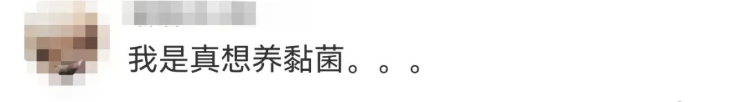 “黏菌宠物”在小学生群体流行！家长傻眼：这是啥？