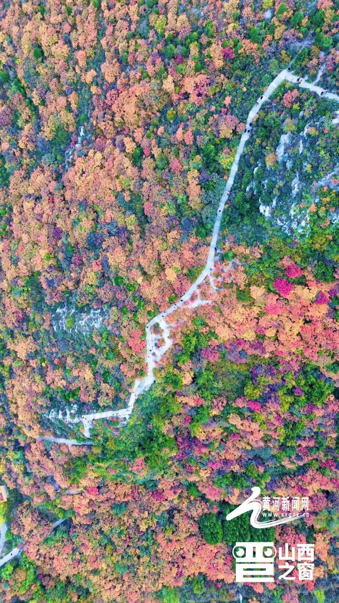 太原崛围山红叶上新啦