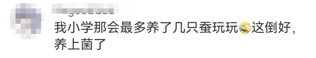 “黏菌宠物”在小学生群体流行！家长傻眼：这是啥？