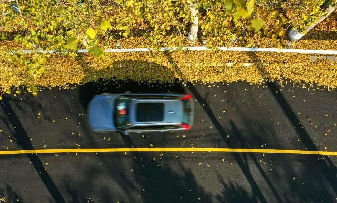 美翻!黄亦玫驰骋的京郊公路又迎“高光”时刻—— 美翻!黄亦玫驰骋的京郊公路又迎“高光”时刻——