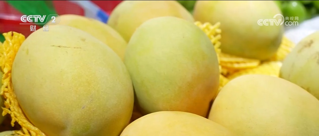 时令水果上市、海鲜种类丰富 居民“菜篮子”“果盘子”物丰价稳供应足