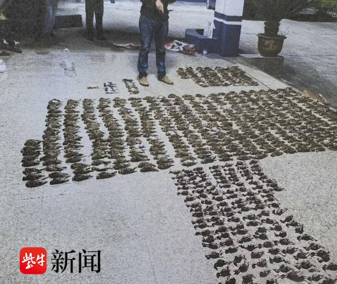 男子自制毒饵捕鸟，获刑又赔偿