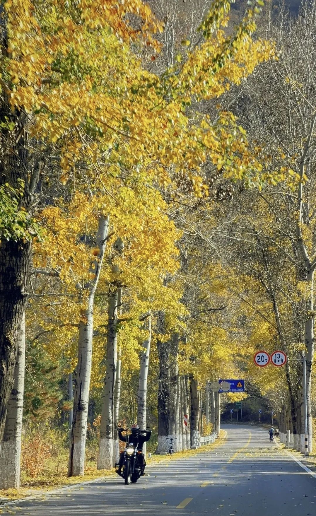 美翻!黄亦玫驰骋的京郊公路又迎“高光”时刻—— 美翻!黄亦玫驰骋的京郊公路又迎“高光”时刻——