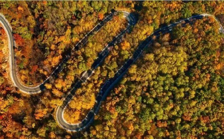 美翻!黄亦玫驰骋的京郊公路又迎“高光”时刻—— 美翻!黄亦玫驰骋的京郊公路又迎“高光”时刻——