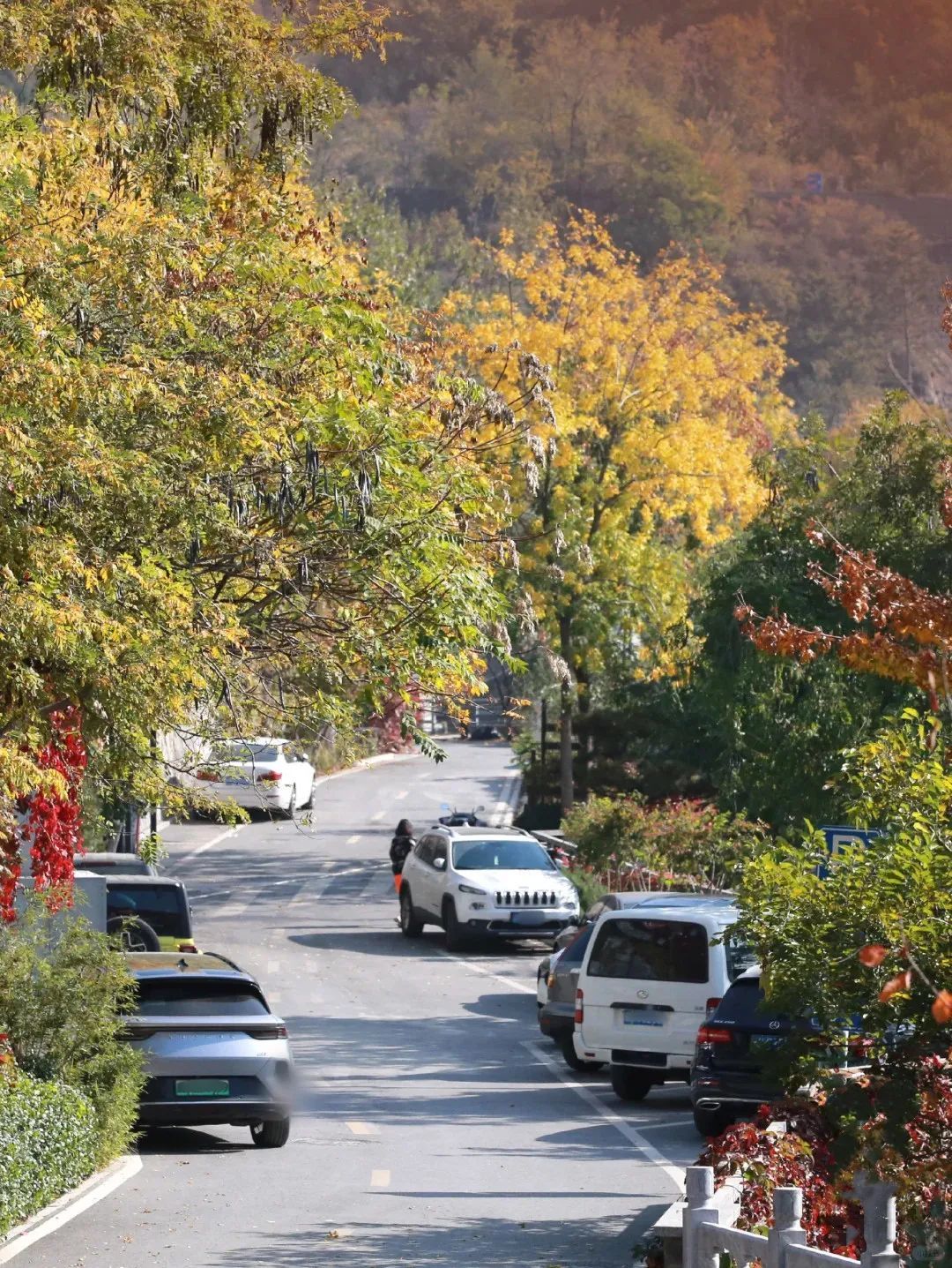 美翻!黄亦玫驰骋的京郊公路又迎“高光”时刻—— 美翻!黄亦玫驰骋的京郊公路又迎“高光”时刻——