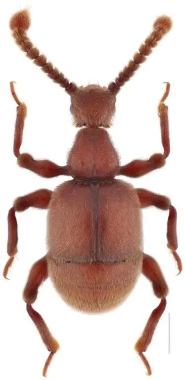 前方高能!贵州“神奇生物”出没,你认识哪些? 前方高能!贵州“神奇生物”出没,你认识哪些?