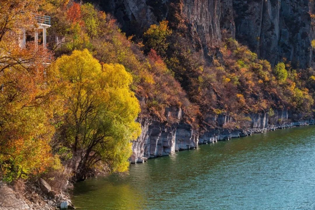 美翻!黄亦玫驰骋的京郊公路又迎“高光”时刻—— 美翻!黄亦玫驰骋的京郊公路又迎“高光”时刻——