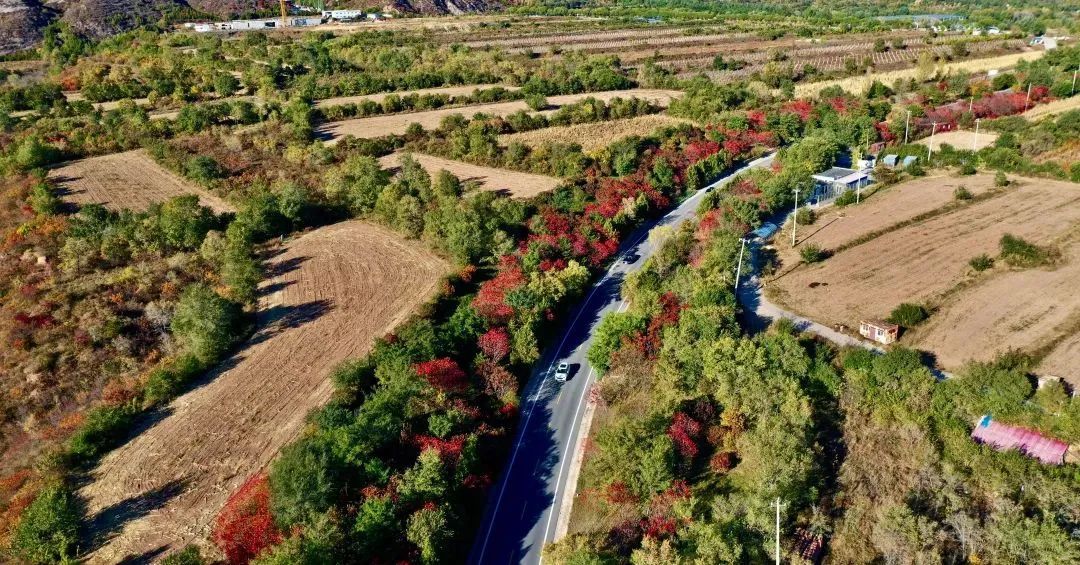 美翻!黄亦玫驰骋的京郊公路又迎“高光”时刻—— 美翻!黄亦玫驰骋的京郊公路又迎“高光”时刻——