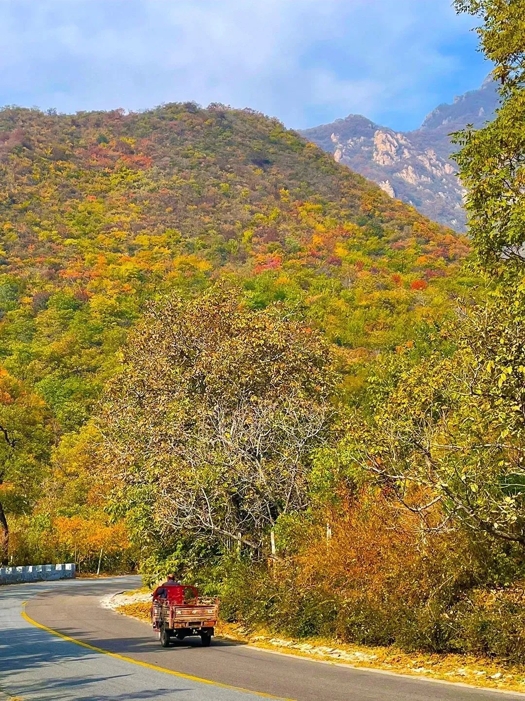 美翻!黄亦玫驰骋的京郊公路又迎“高光”时刻—— 美翻!黄亦玫驰骋的京郊公路又迎“高光”时刻——