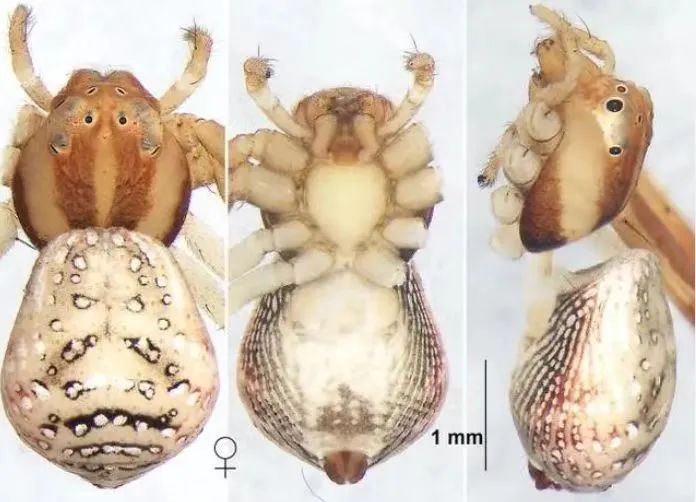 前方高能!贵州“神奇生物”出没,你认识哪些? 前方高能!贵州“神奇生物”出没,你认识哪些?