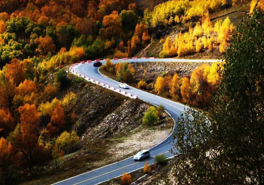 美翻!黄亦玫驰骋的京郊公路又迎“高光”时刻—— 美翻!黄亦玫驰骋的京郊公路又迎“高光”时刻——