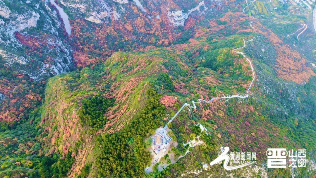 太原崛围山红叶上新啦