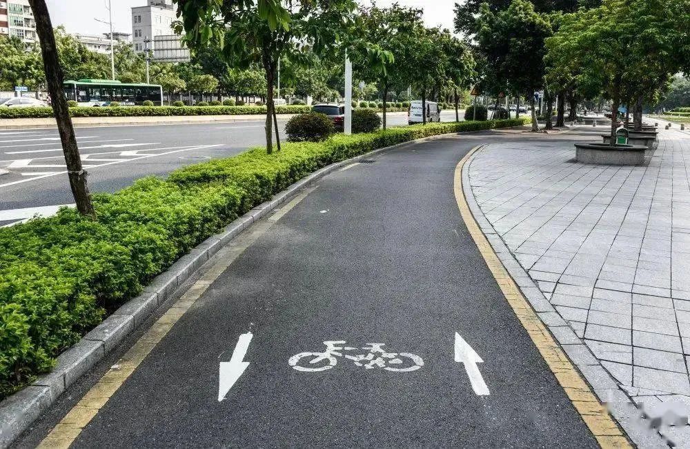 双人骑乘+逆行……砰!撞上路灯杆 双人骑乘+逆行……砰!撞上路灯杆