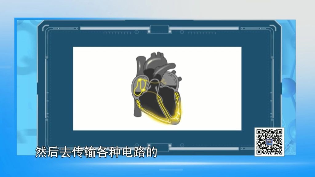 小心！这是心脏求救的信号！专家告诉你如何预防心律失常！