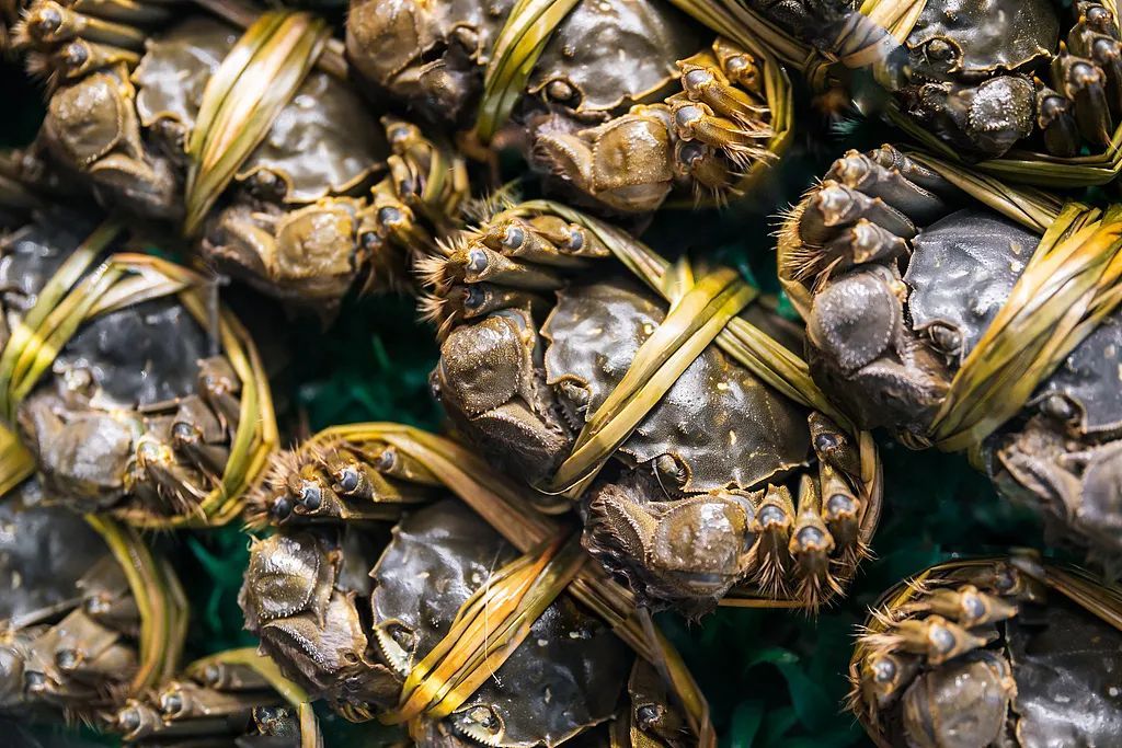 价格降了！“大闸蟹自由”还要注意这些