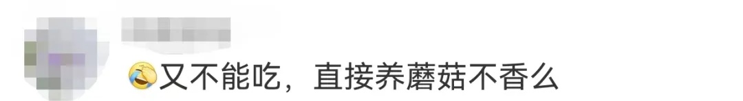 “黏菌宠物”在小学生群体流行！家长傻眼：这是啥？
