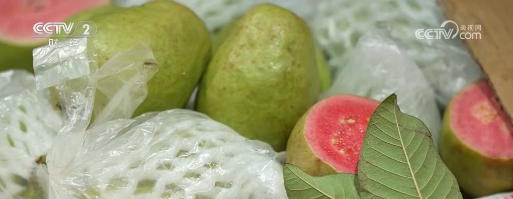 时令水果上市、海鲜种类丰富 居民“菜篮子”“果盘子”物丰价稳供应足