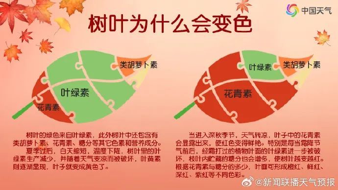 强冷空气来袭 西安市发布寒潮蓝色预警