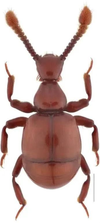 前方高能!贵州“神奇生物”出没,你认识哪些? 前方高能!贵州“神奇生物”出没,你认识哪些?