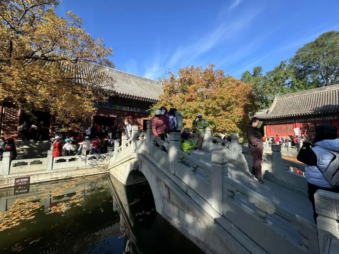 香山红叶季!哪里最好看?怎么出行?攻略来了—— 香山红叶季!哪里最好看?怎么出行?攻略来了——