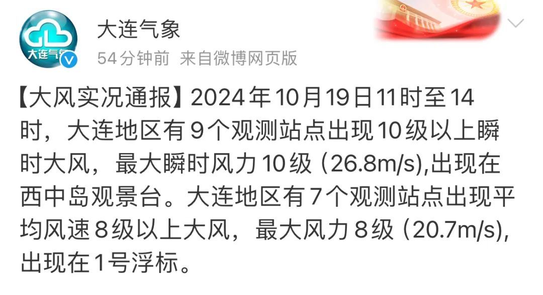 大连十级大风刷屏！大树被连根拔起，航班调整……网友：刮出了推背感！